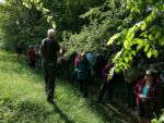 Ökumenische Begegnung unserer Gölsentaler Pfarren. Wanderung von St. Veit nach Schwarzenbach.