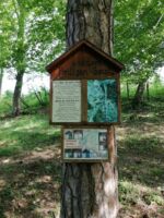 Ökumenische Begegnung unserer Gölsentaler Pfarren. Wanderung von St. Veit nach Schwarzenbach.