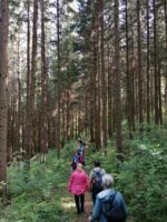 Ökumenische Begegnung unserer Gölsentaler Pfarren. Wanderung von St. Veit nach Schwarzenbach.