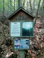 Ökumenische Begegnung unserer Gölsentaler Pfarren. Wanderung von St. Veit nach Schwarzenbach.